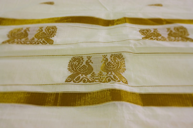 The pallu of the Kasavu saree with traditional peacock motifs